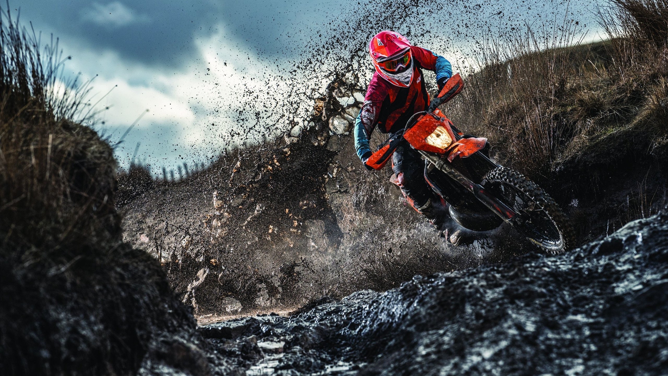 西决生死战之夜，当福克斯撕碎的不只是防线，还有篮球的固有想象